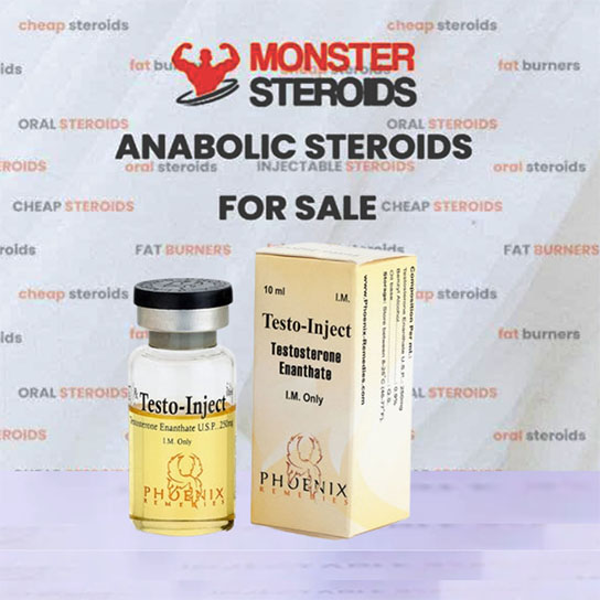 Testo Inject 10ml vial (250mg/ml)