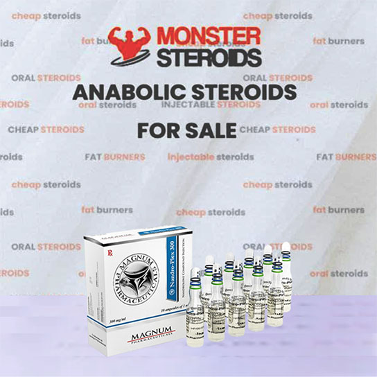 Magnum Nandro-Plex 300