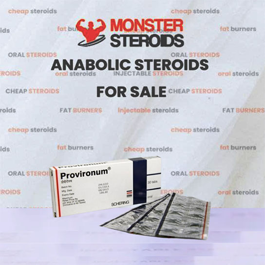 Provironum