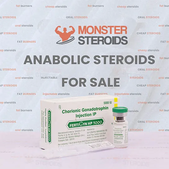 FertiGYN-HP-5000-monstersteroids.to_ Fertigyn (Pregnyl) - Image 1